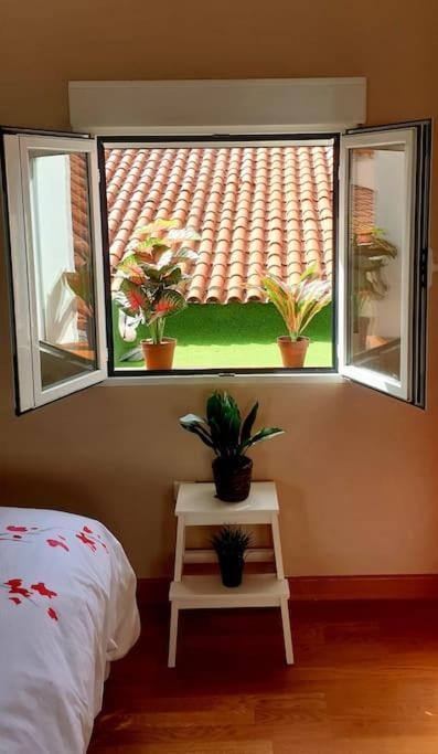 Precioso Loft En Pleno Corazon De Valladolid Exteriér fotografie